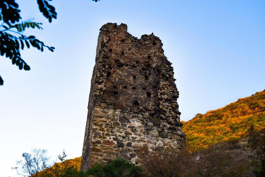 კოშკების ზურგიანი კოშკი