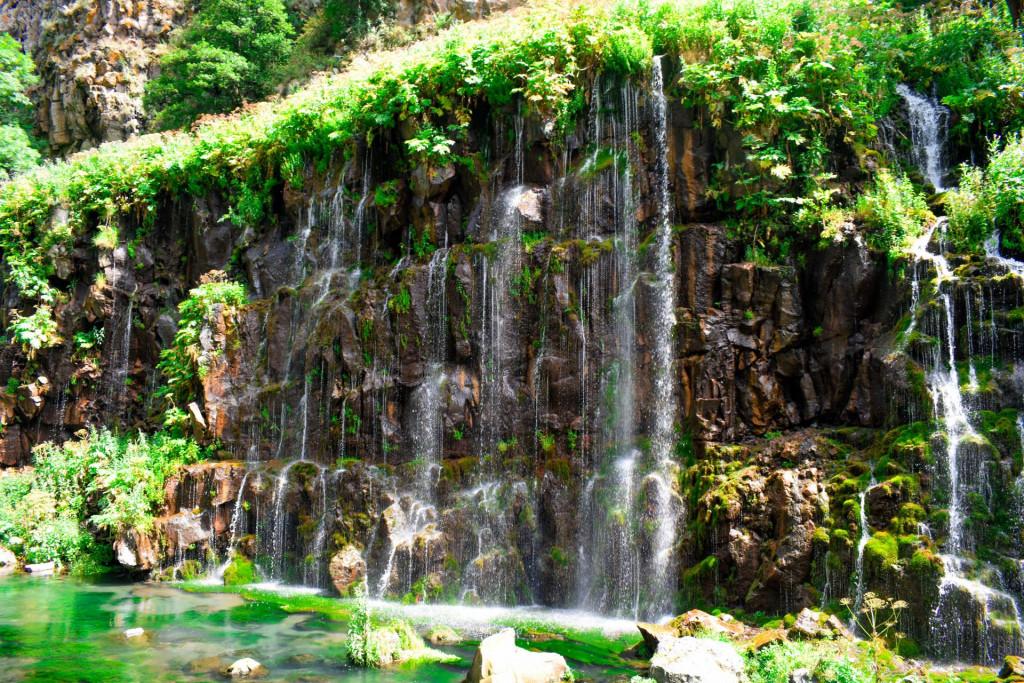 დაშბაშის კანიონი