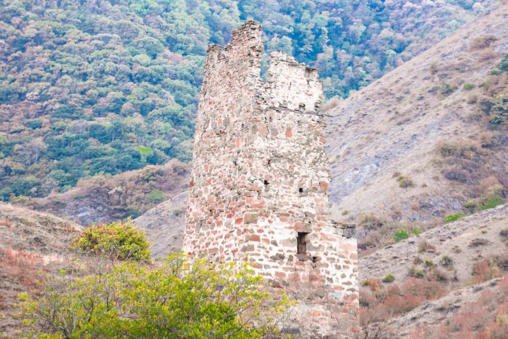 კოშკების ზურგიანი კოშკი