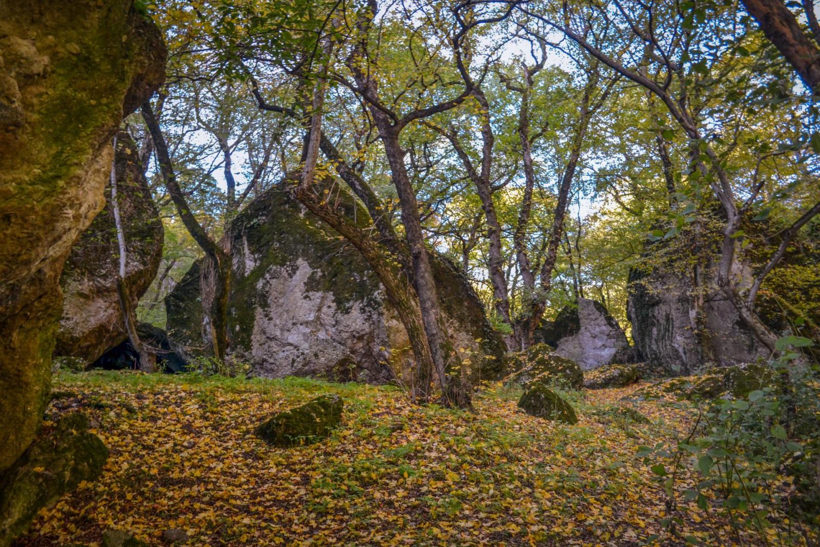 ბირთვისის ციხის კომპლექსი - Birtvisi fortress