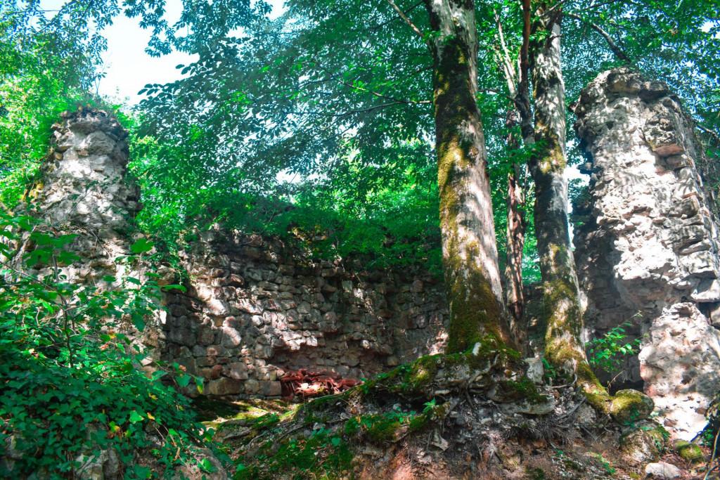 ჩიხის ციხე და ღვთისმშობლის ეკლესია