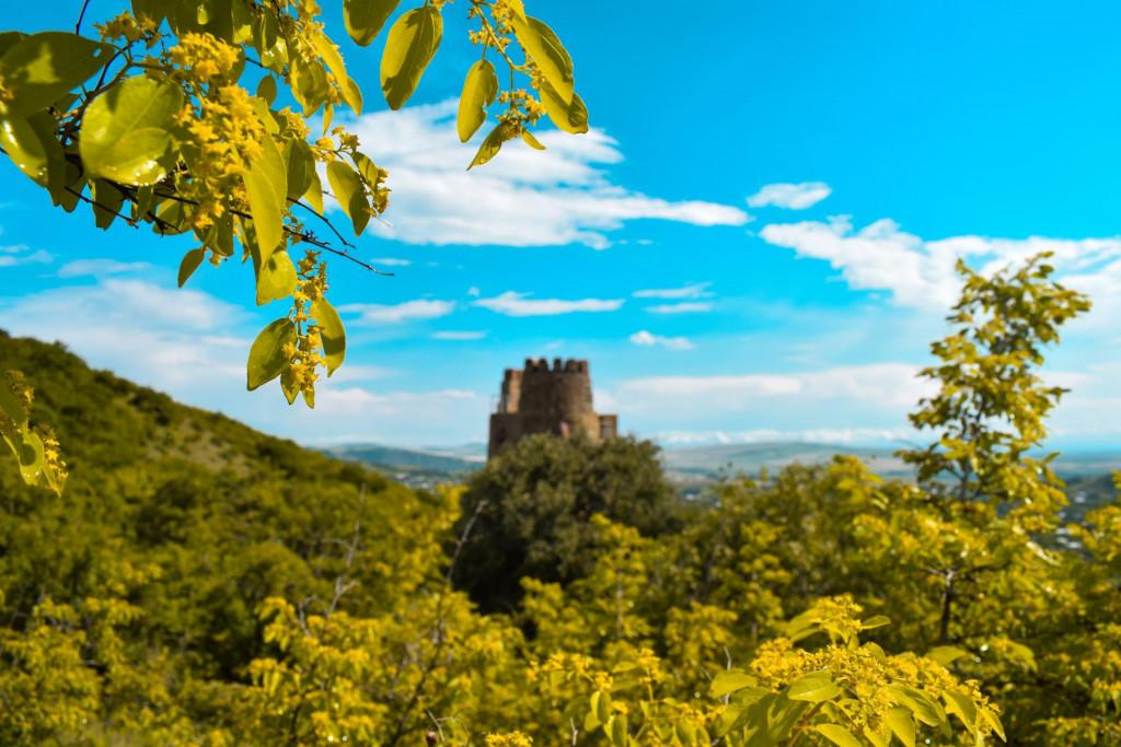 ფიცხელაურების მრიზიანთ კოშკი