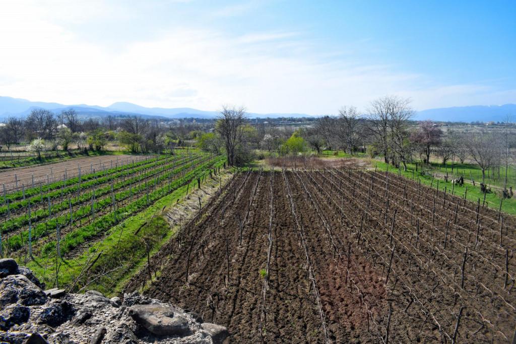 ვარდისუბნის ყარაულაანთ ციხე