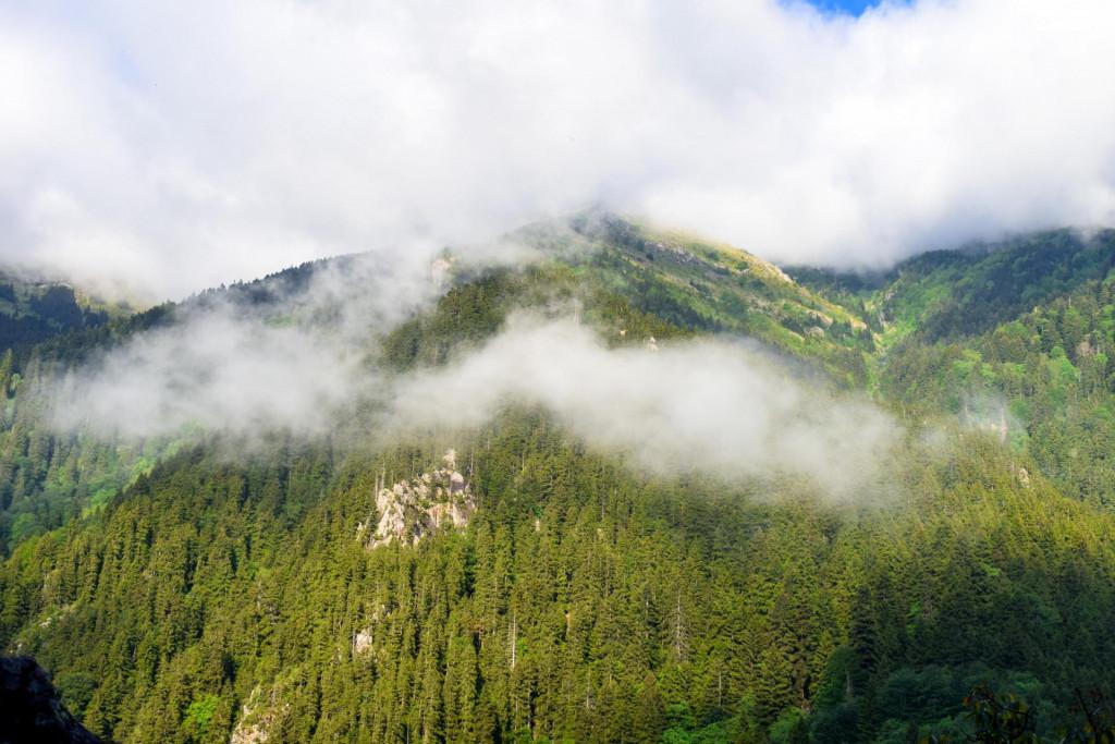 სუმელის მონასტერი