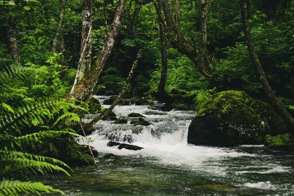 ხინოს ჩანჩქერუკა