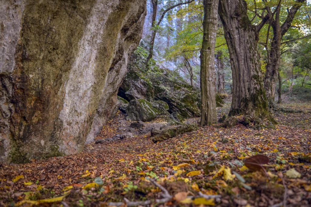 ბირთვისის ციხის კომპლექსი - Birtvisi fortress