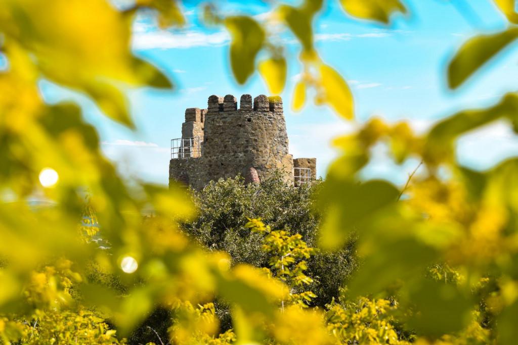 ფიცხელაურების მრიზიანთ კოშკი