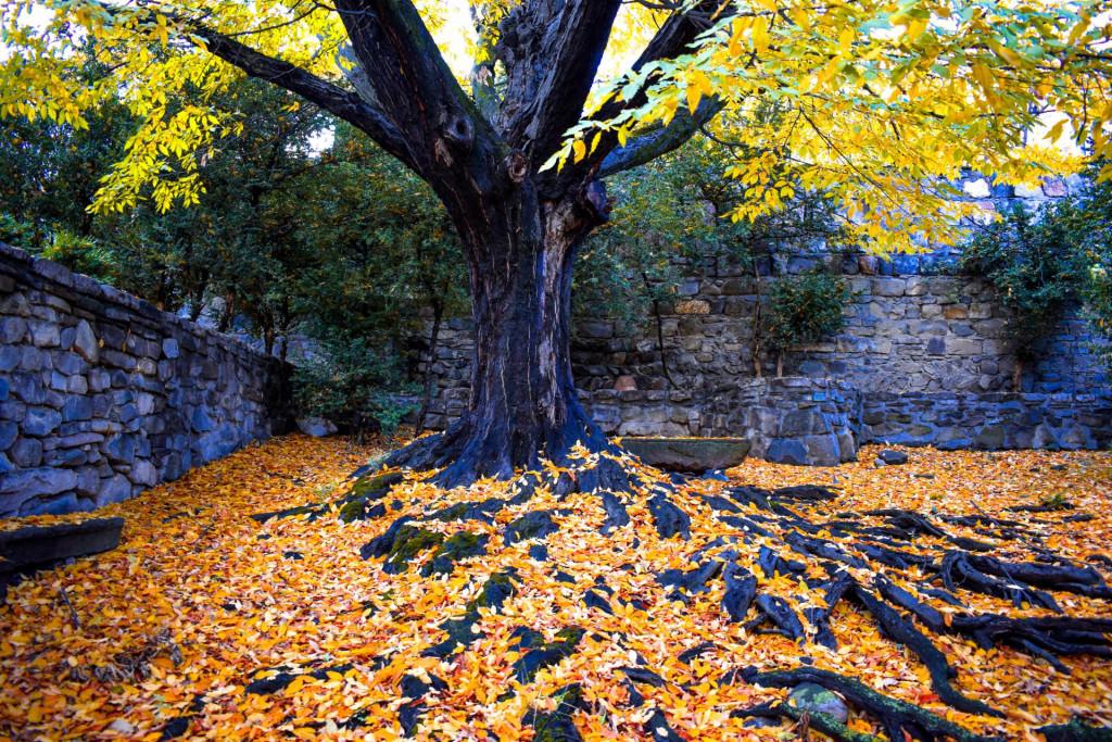 ატენის ღვთისმშობლის შობის სახელობის ეკლესია
