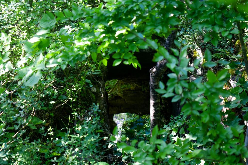 ნავარძეთის (თირის) ციხე