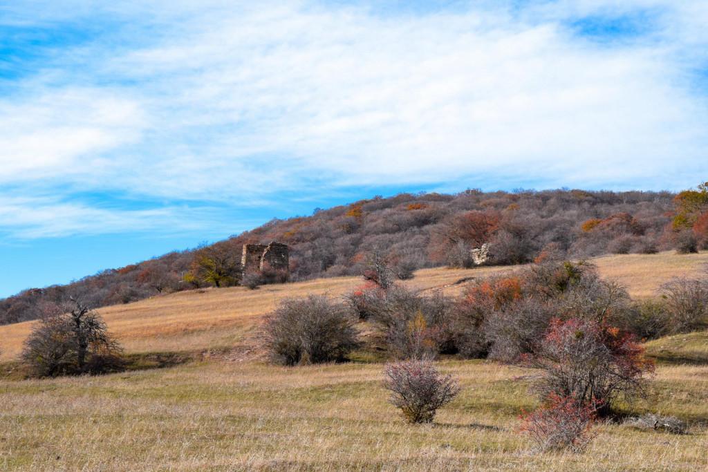ბოდოჯის სასახლე