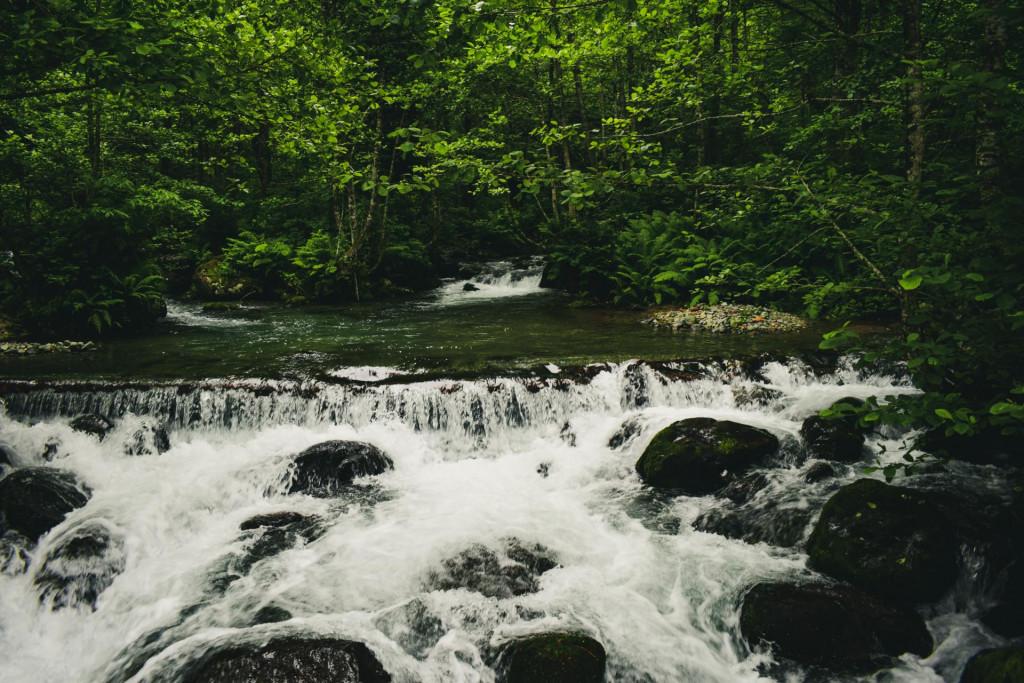 ხინოს ჩანჩქერუკა