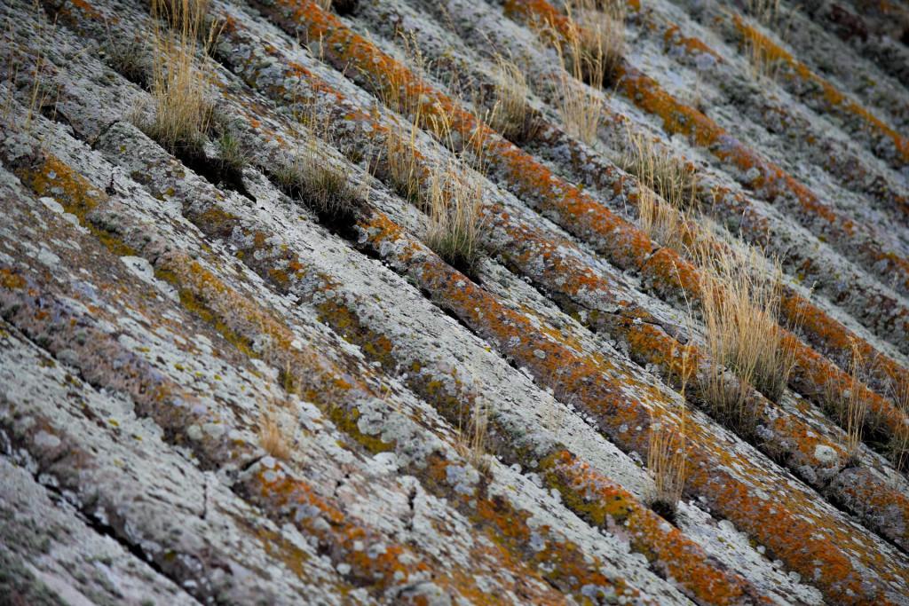 საღამოს ეკლესია