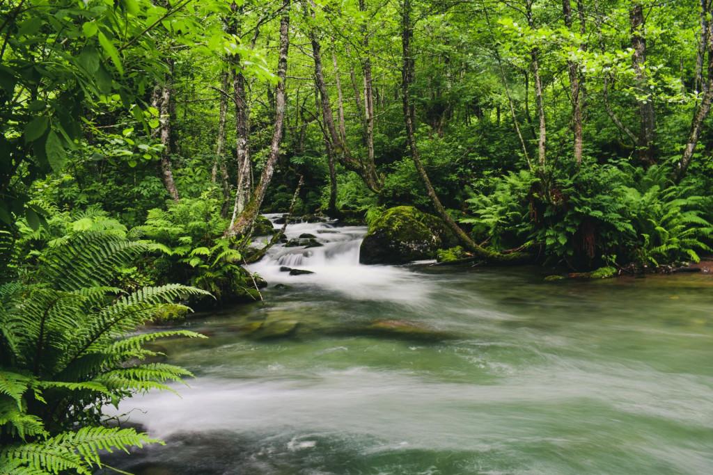ხინოს ჩანჩქერუკა