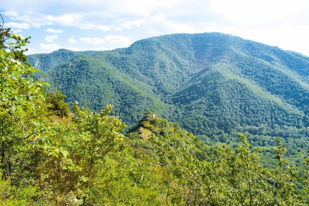ციხნარის (ცხნარის) ციხე