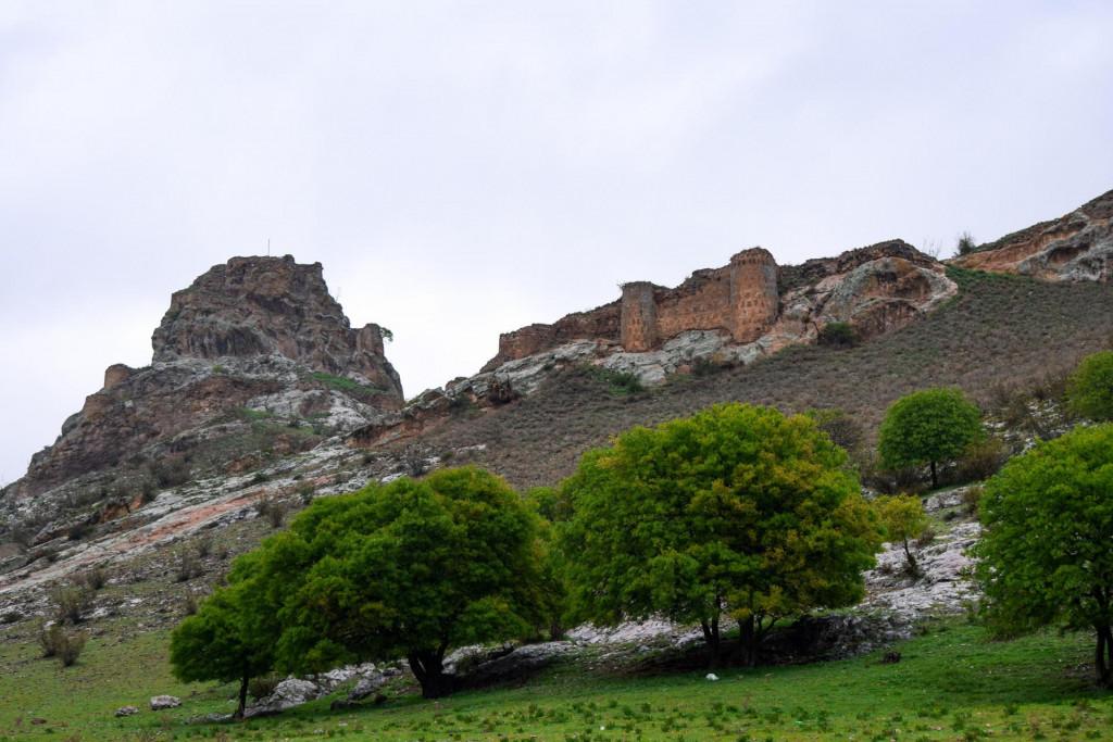 ჭაპალას ციხე