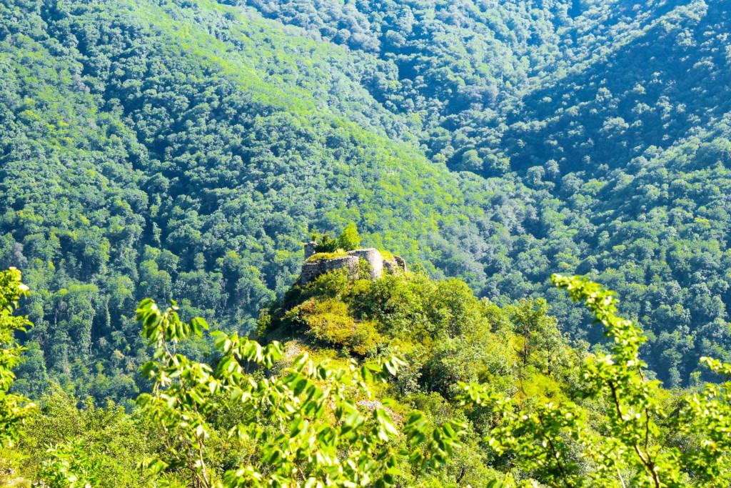 ციხნარის (ცხნარის) ციხე