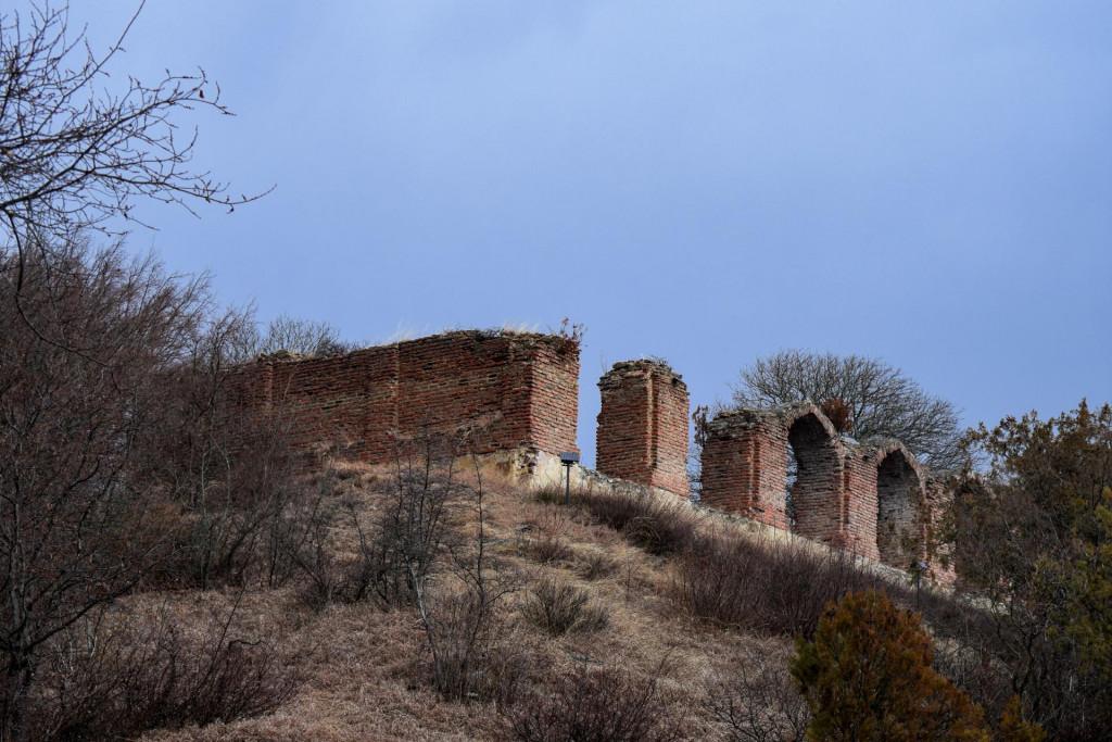 ალვანის ცხრაკარას სასახლე