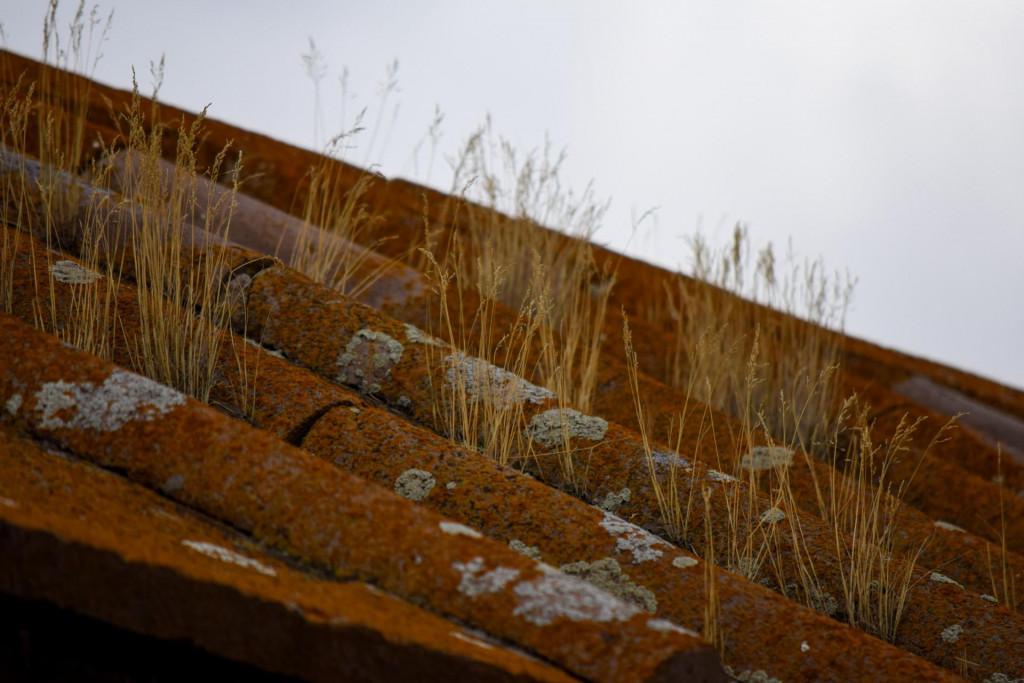 განძანის ეკვდერიანი ეკლესია