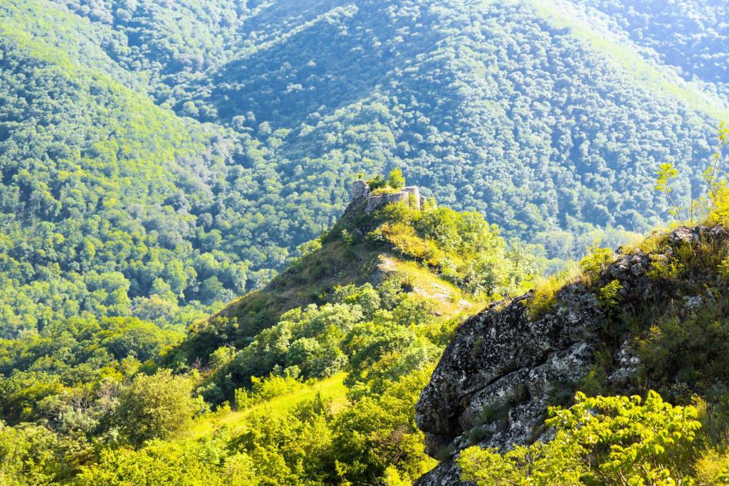 ციხნარის (ცხნარის) ციხე