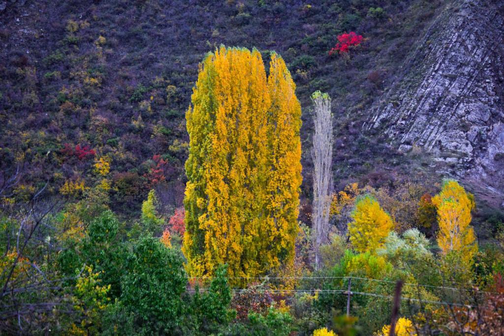 ატენის ღვთისმშობლის შობის სახელობის ეკლესია