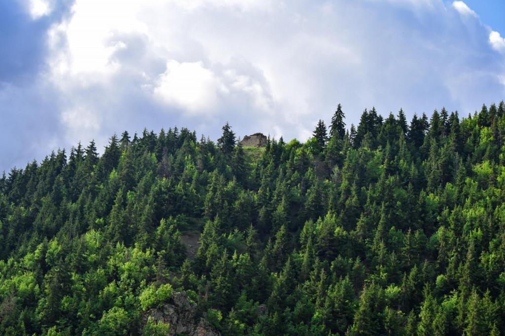პარხალი