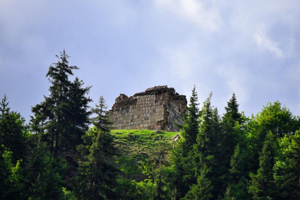 პარხალი