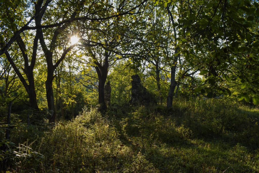 გოხნარის წმინდა მარიამ ღვთისმშობლის ეკლესია