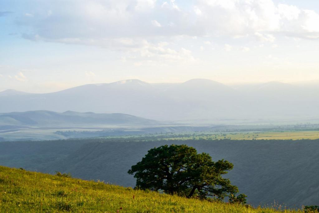 გომარეთის პლატოს ხედები