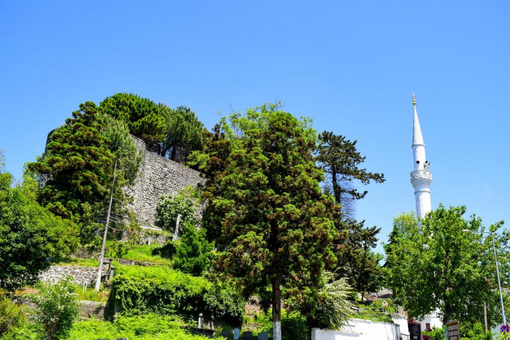 რიზეს ციხე