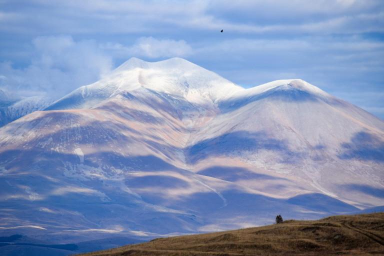 დიდი აბული