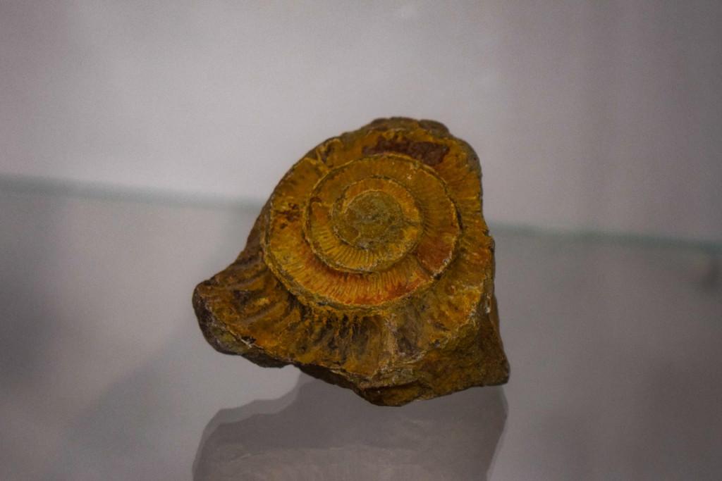 ჭიათურის მხარეთმცოდნეობის მუზეუმი