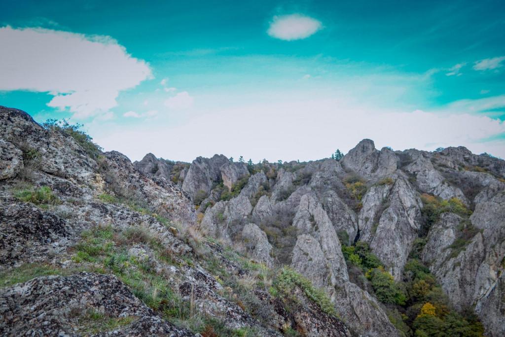 ბირთვისის ციხის კომპლექსი - Birtvisi fortress