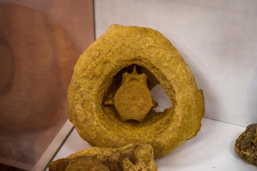 ჭიათურის მხარეთმცოდნეობის მუზეუმი