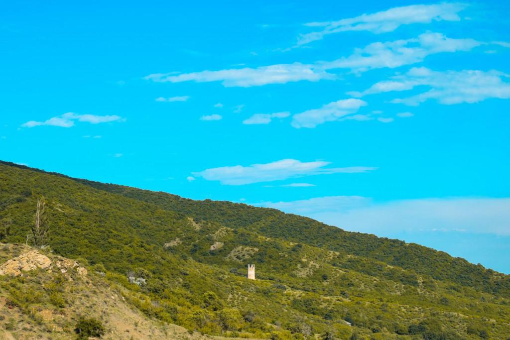 ფიცხელაურების მრიზიანთ კოშკი