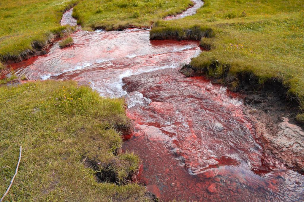 ბუყბუყას ტბა