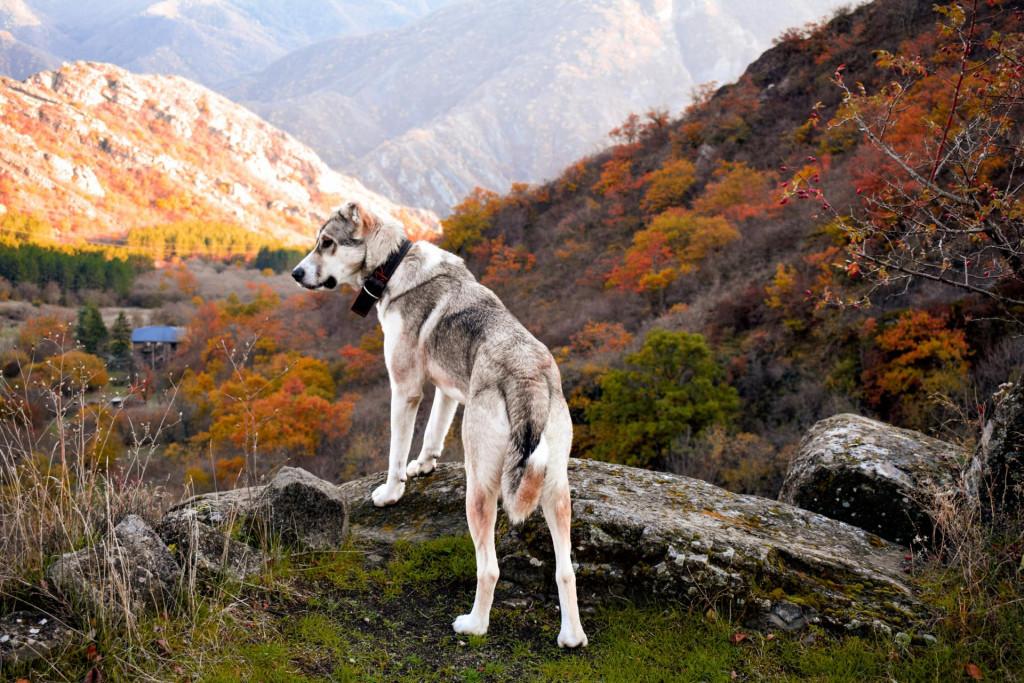 წეროსხევის ღვთისმშობლის ეკლესია