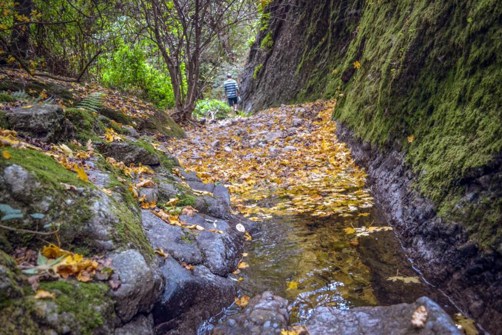 ბირთვისის ციხის კომპლექსი - Birtvisi fortress