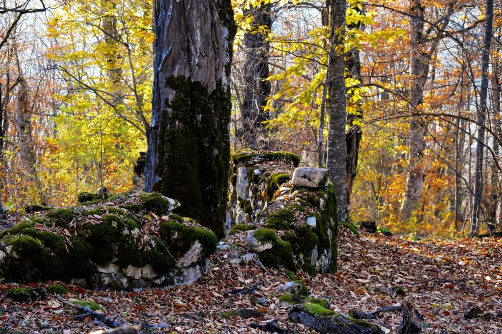 იხინჭას მარიამწმინდა