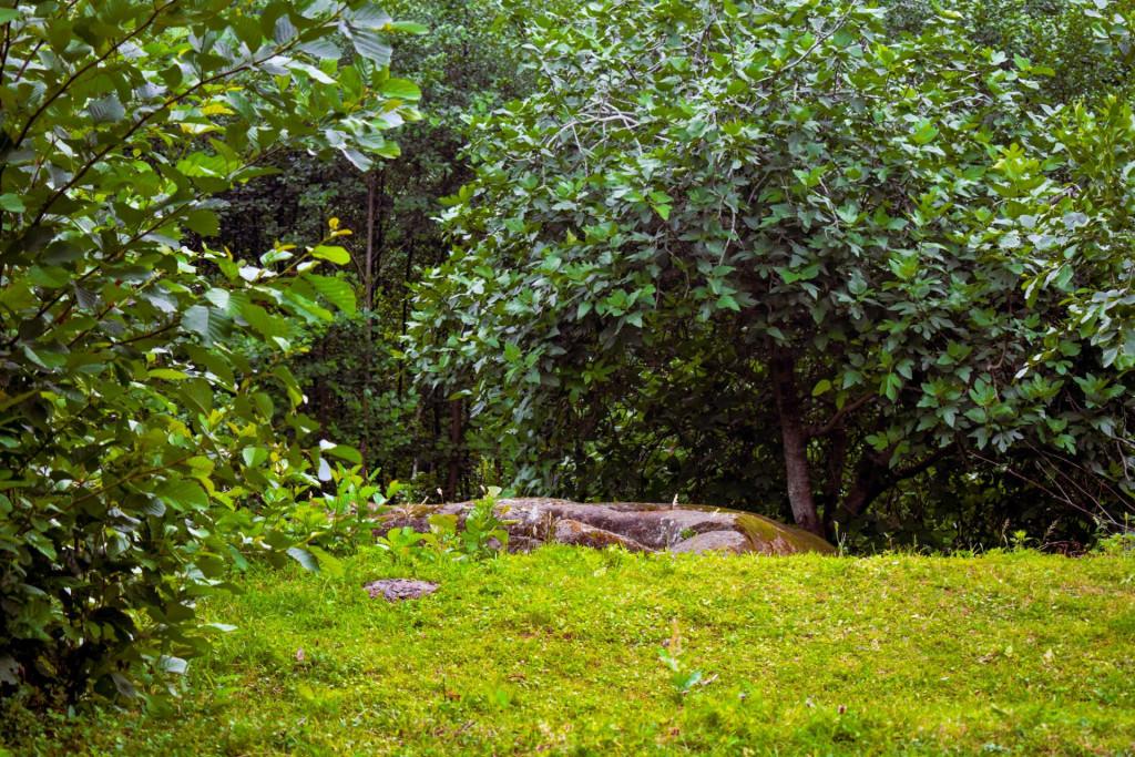 ზენითის ქვის საწნახელი