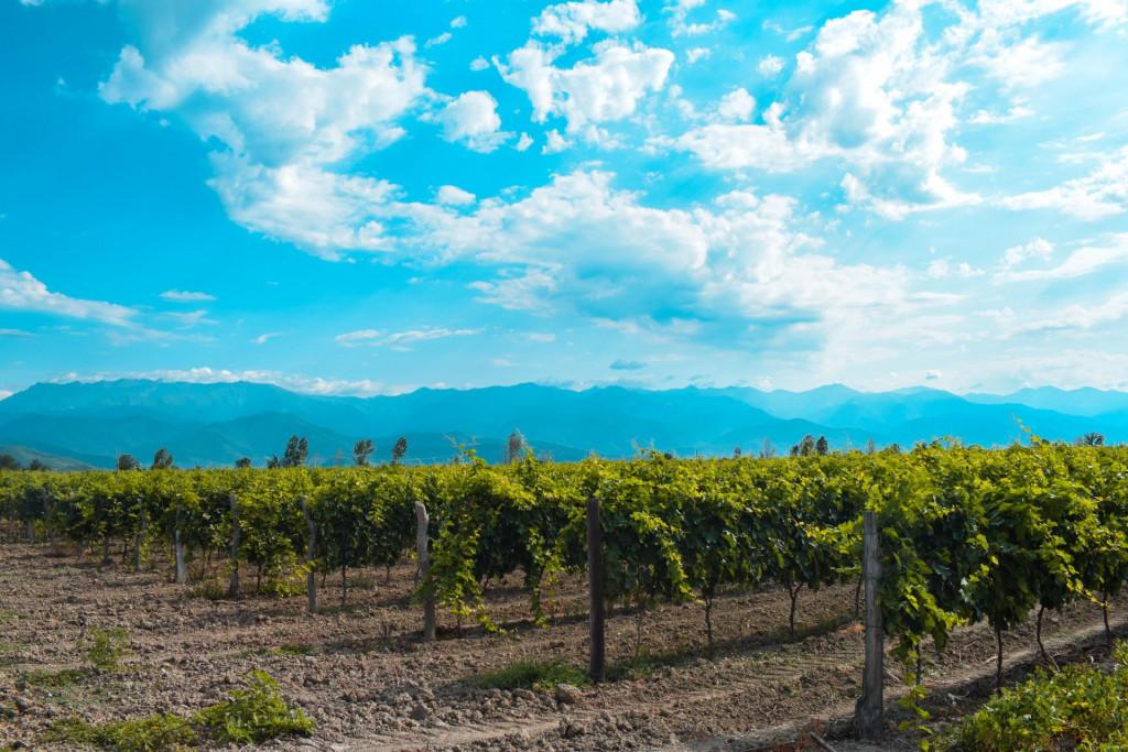 ახშანის კოშკი