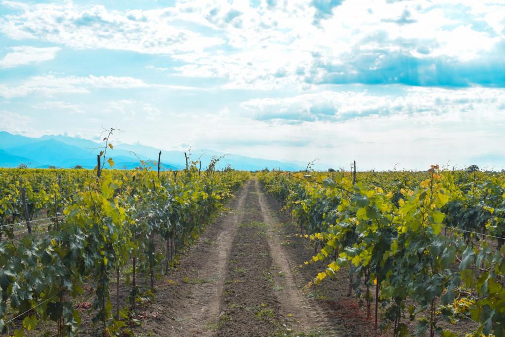 ახშანის კოშკი