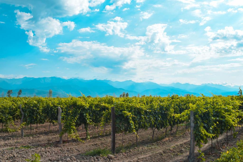 ახშანის კოშკი