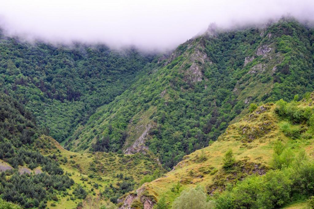 ქაჩუს ციხე