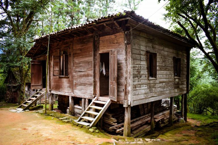 ლეღვას ესაძეების 160 წლის ხის ოდა