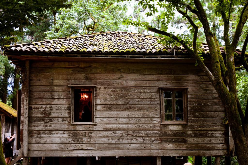 ლეღვას ესაძეების 160 წლის ხის ოდა