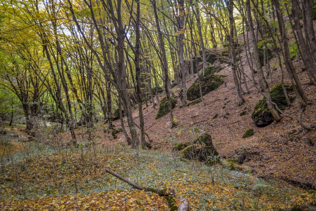 ბირთვისის ციხის კომპლექსი - Birtvisi fortress
