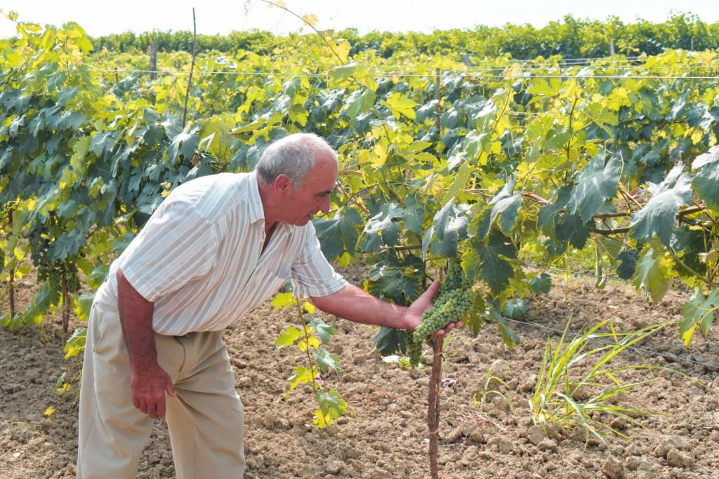 ახშანის კოშკი