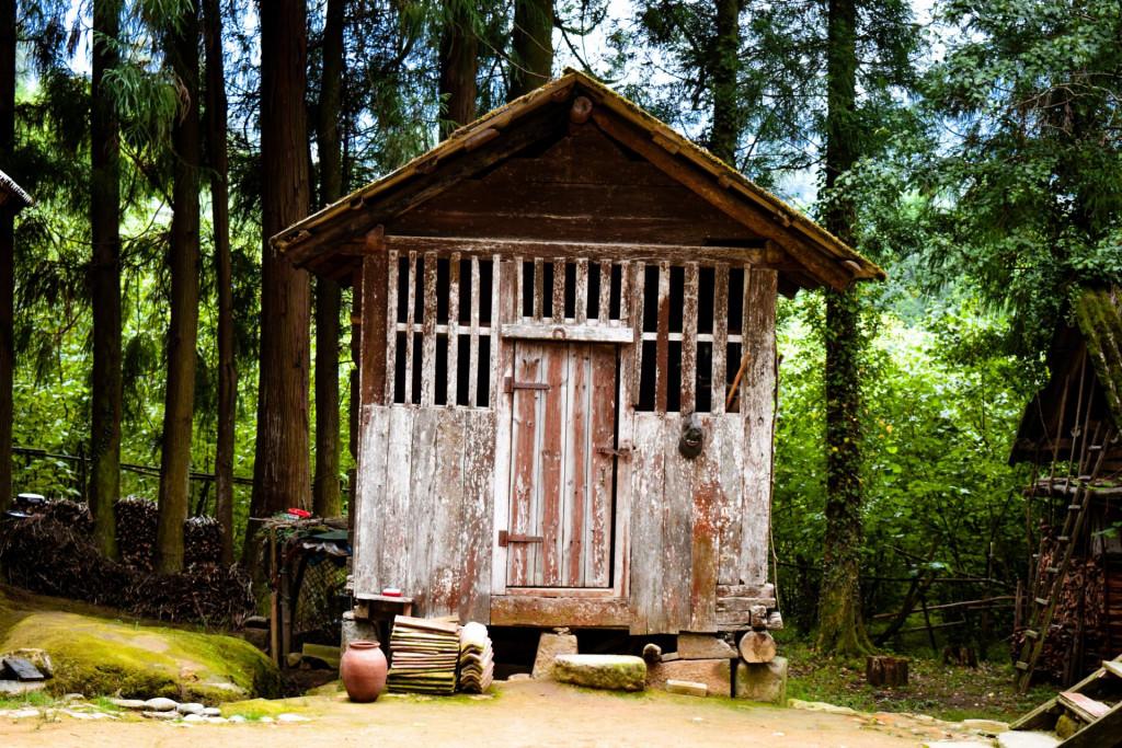 ლეღვას ესაძეების 160 წლის ხის ოდა