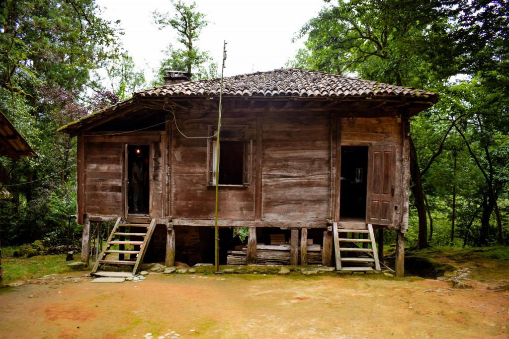 ლეღვას ესაძეების 160 წლის ხის ოდა