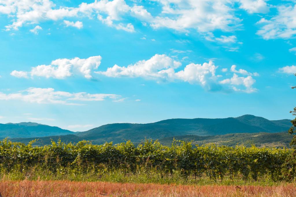 ახშანის კოშკი